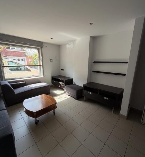 Frisse leefruimtes met stijlvolle accenten en een praktische magnetische keukenmuur 11