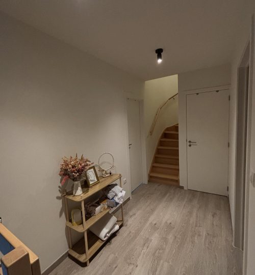 schilderwerken en decoratieve technieken in brugge