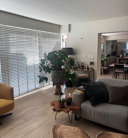 schilderwerken en decoratieve technieken in brugge